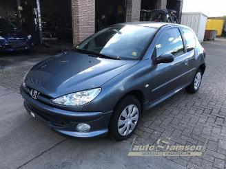 Vrakbiler auto Peugeot 206 206 (2A/C/H/J/S), Hatchback, 1998 / 2012 1.4 XR,XS,XT,Gentry 2005/12