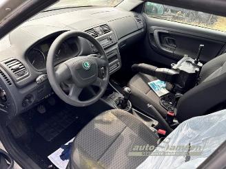 Skoda Fabia Fabia II Combi, Combi 5-drs, 2007 / 2014 1.2 TDI 12V Greenline picture 8