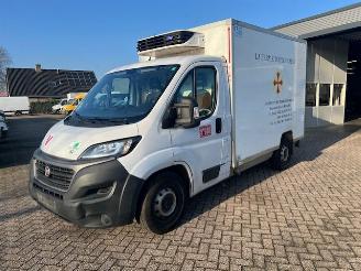 Unfall Kfz Van Fiat Ducato 2.3 MJ 103KW AUTOM.  KOELING  TIEFKUHLUNG KLIMA EURO6 2021/1