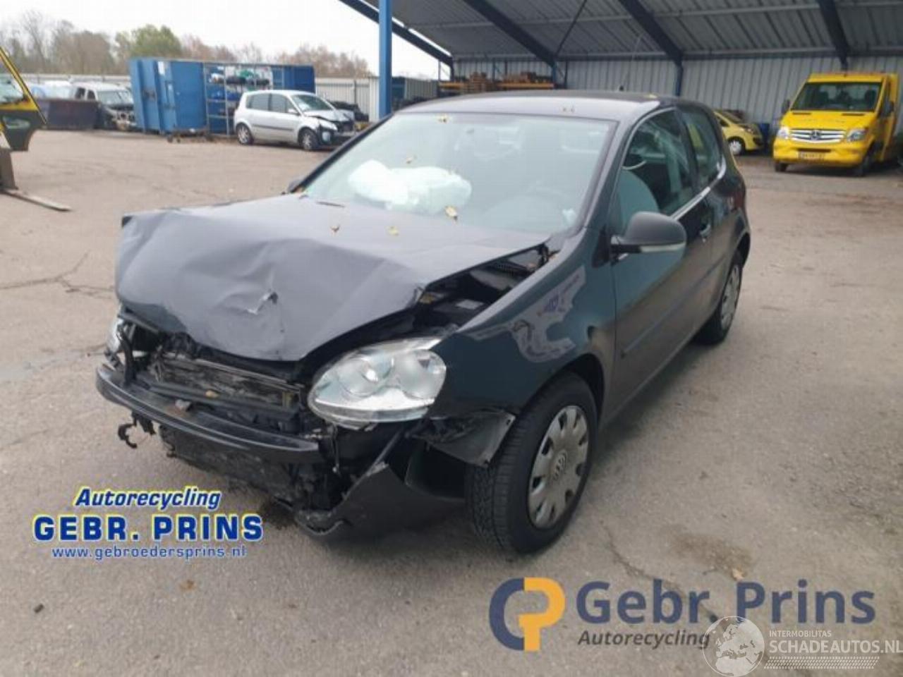 Volkswagen Golf Golf V (1K1), Hatchback, 2003 / 2010 1.9 TDI