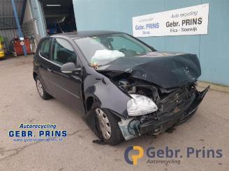 Volkswagen Golf Golf V (1K1), Hatchback, 2003 / 2010 1.9 TDI picture 2