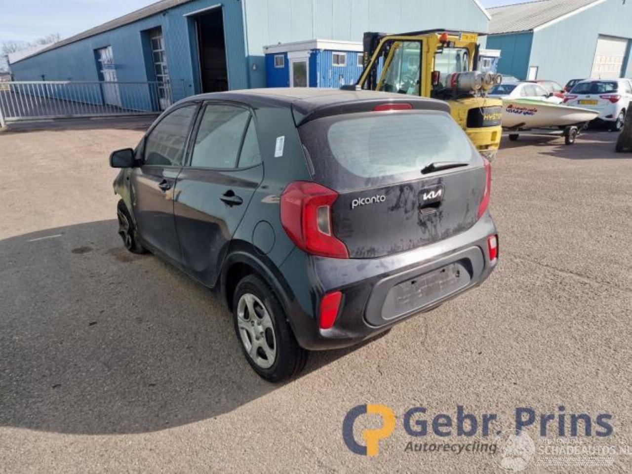 Kia Picanto Picanto (JA), Hatchback, 2017 1.0 DPi 12V