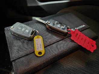 Skoda Octavia 2.0 TDI AUT GreenTec 16V Combi/o 4Dr Diesel 1.968cc 110kW (150pk) picture 18