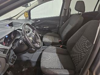 Ford Grand C-Max 1.6 SCTi 16V MPV  Benzine 1.596cc 110kW (150pk) picture 9