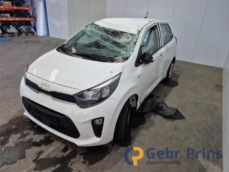 Kia Picanto Picanto (JA), Hatchback, 2017 1.0 DPi 12V picture 6
