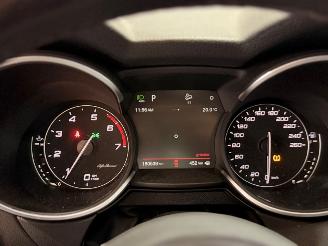 Alfa Romeo Stelvio 2.0 T AWD Super Business Edition Q4 picture 16