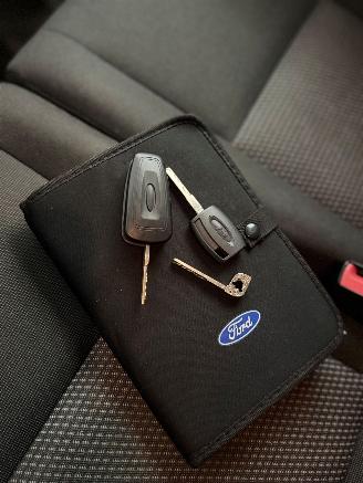 Ford Transit CUSTOM 310 2.2 TDCI L1H1 Ambiente DC picture 20