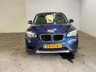 BMW X1 sDrive20i Executive picture 4