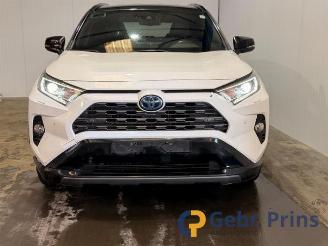 Toyota Rav-4 RAV4 (A5), Terreinwagen, 2018 2.5 Hybrid 16V AWD picture 8