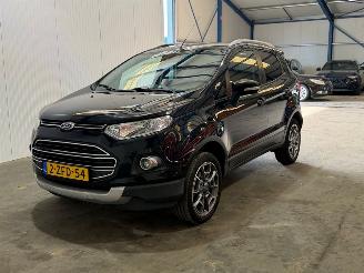 Ford EcoSport 1.0 EcoBoost Titanium picture 7