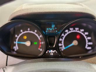 Ford EcoSport 1.0 EcoBoost Titanium picture 11