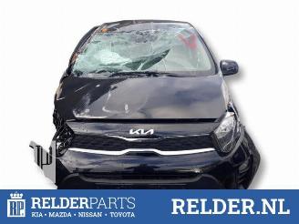  Kia Picanto Picanto (JA), Hatchback, 2017 1.0 DPI 12V 2024/1