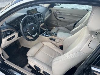 BMW  220i High Executive picture 15