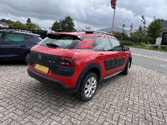 Citroën C4 cactus 1.2 VTi Feel 102.117 KM !!! picture 11