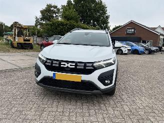 Dacia Jogger 1.0 TCe 100 ECO-G Expression 7p. | eerste eigenaar!! picture 6
