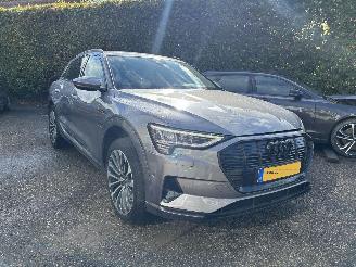 Avarii autoturisme Audi E-tron 55 quattro Advanced edition 95 kWh 2022/7