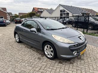 Peugeot 207 1.6 VTi Première picture 5