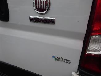 Fiat Ducato 35 Maxi L4/H2 140 Natural Power Airco, Cruise control, PDC picture 28