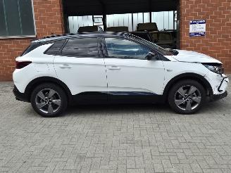Opel Grandland GS Line, 96KW, Cruisecontrol, Climatecontrol picture 6