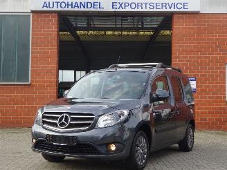  Mercedes Citan Tourer 84kw/114pk, Panorama, Climate & Cruise, PDC, Camera 2017/8
