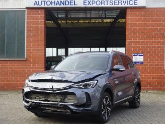 Coche accidentado MG ZS ZS 1.5 Hybrid+ 145 kW Luxury, Leer, Navi-MMS, DAB+ 2025/9