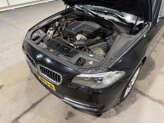 BMW 5-serie 520i 135kW Automaat High Executive picture 27