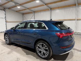 Audi E-tron 71kWh 230kW Quattro 50 Launch Edition Plus picture 11