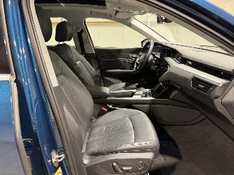 Audi E-tron 71kWh 230kW Quattro 50 Launch Edition Plus picture 35