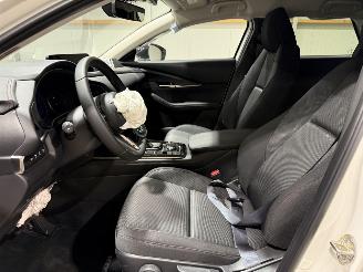 Mazda CX-30 2.5 e-SkyActive-G 103kW Automaat Hybrid Homura picture 32