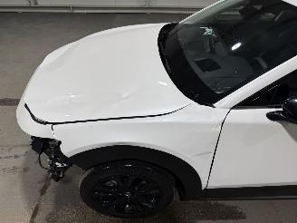 Mazda CX-30 2.5 e-SkyActive-G 103kW Automaat Hybrid Homura picture 17