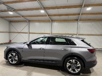 Audi E-tron 50 71kWh 230kW Quattro Luchtvering S Edition Pano picture 11