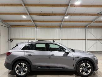 Damaged car Audi E-tron 50 71kWh 230kW Quattro Luchtvering S Edition Pano 2020/4