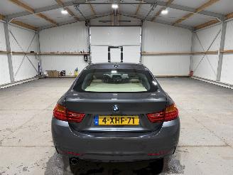 BMW 4-serie 420i 135kW Automaat High Executive picture 7