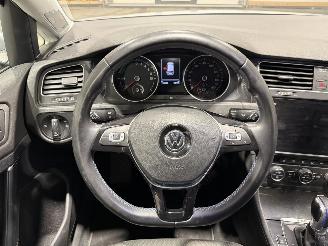 Volkswagen e-Golf E-Golf 36kWh 100KW picture 22