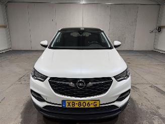 Opel Grandland X 1.2Turbo 96kW Online Edition picture 4