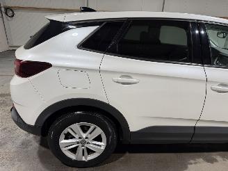 Opel Grandland X 1.2Turbo 96kW Online Edition picture 14