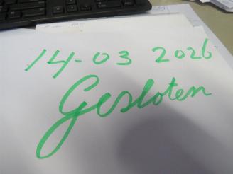 Schadeauto Mini   2026/1