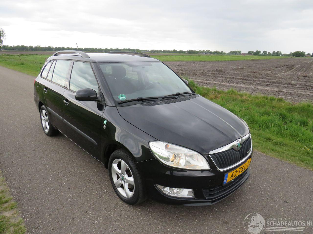 Skoda Fabia 1.2 TDi Greenline Business Line Navigatie Airco Climaat  2012