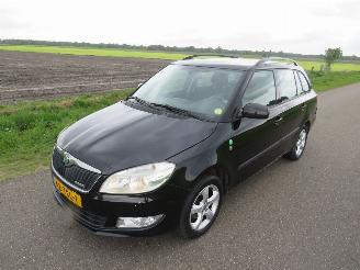 Skoda Fabia 1.2 TDi Greenline Business Line Navigatie Airco Climaat  2012 picture 5