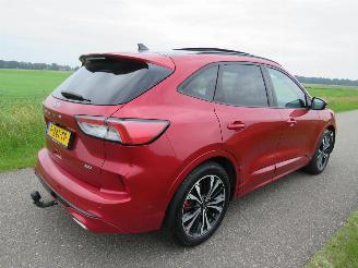 Unfallwagen Ford Kuga 2.5 PHEV 152 pk Automaat  ST Line Titaniun Sport Hybride Elektriciteit Benzine  schuifdak 2020/8