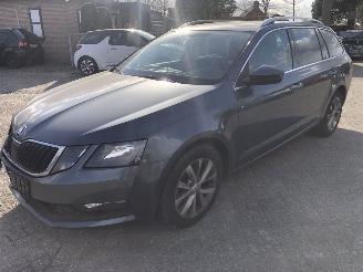  Skoda Octavia Octavia Combi 1.0 TSI Greentech Ambition Business 2019/8