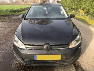 Volkswagen Golf Golf 1.6 TDI Highline BlueMotion picture 3
