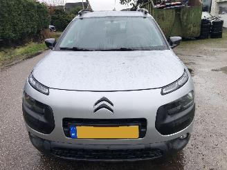 Citroën C4 cactus cactus 1.2 puretech picture 2