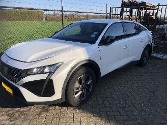 Auto incidentate Peugeot 408 408 1.2 PureTech Allure 130 EAT8 2023/9