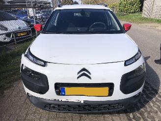 Citroën C4 cactus C4 Cactus 1.2 PureTech Shine picture 3