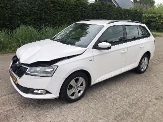 Vaurioauto  passenger cars Skoda Fabia Fabia Combi 1.0 TSI Clever 2019/4