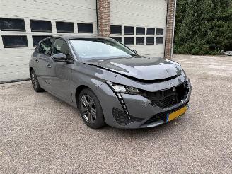  Peugeot 308 1.2 Puretech Active Pack Navi Cima 2024/2