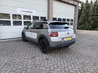 Citroën C4 cactus 1.2 e-VTi Business Automaat Navi Clima Cruise NAP ! picture 3