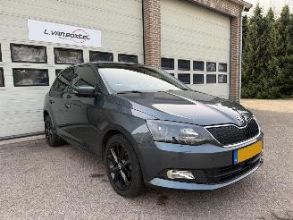 škoda osobní automobily Skoda Fabia 1.2 TSI Joy Navi Clima Cruise 35814 Km ! 2016/8
