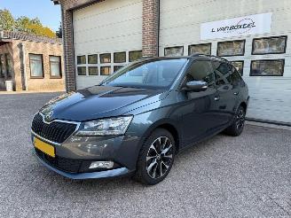 Vaurioauto  passenger cars Skoda Fabia 1.0 TSI Business Edition Navi Clima Cruise NAP 2020/3